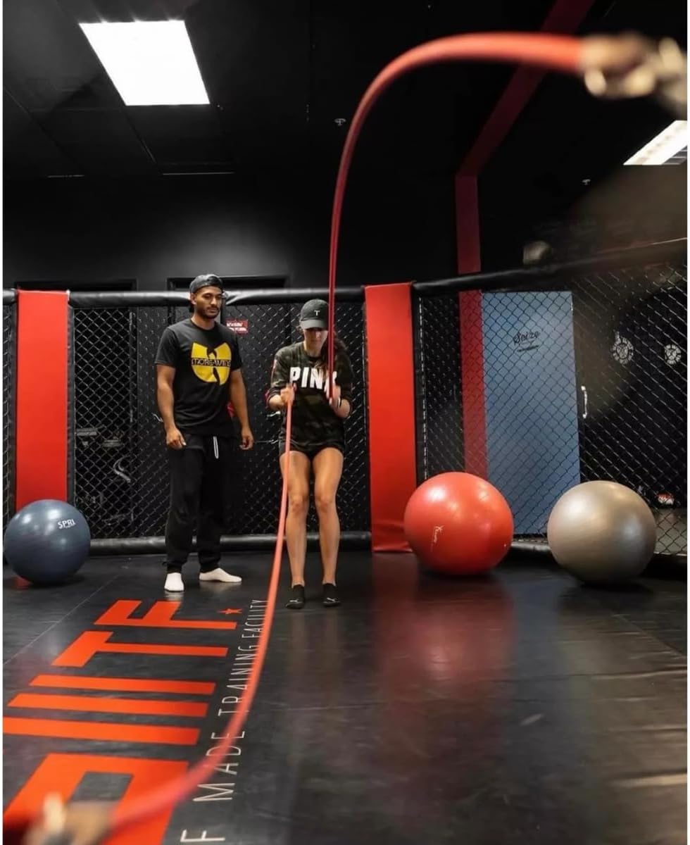 Inertia Wave - Dynamic Rubber Battle Ropes | Pink Inertia Wave Agility and Speed; jump ropes, climbing and battle ropes, ladders, sled, interval timer 61iM3kwv9ML._AC_SL1200