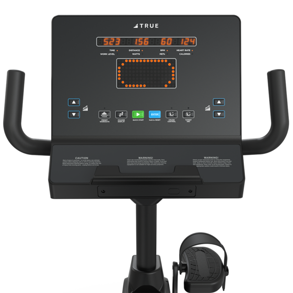 True Performance Series Recumbent Bike | Black