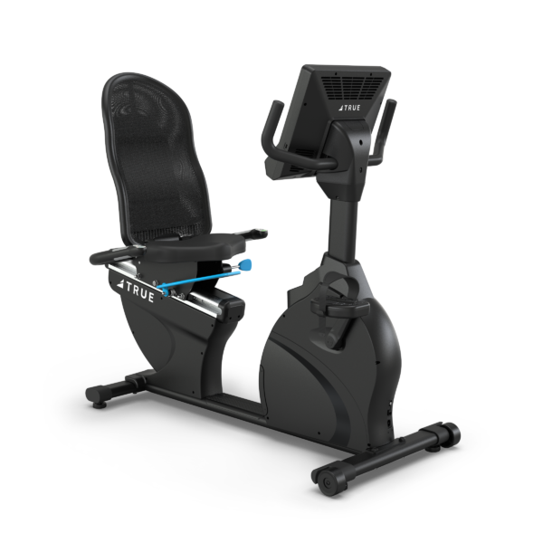 True Performance Series Recumbent Bike | Black