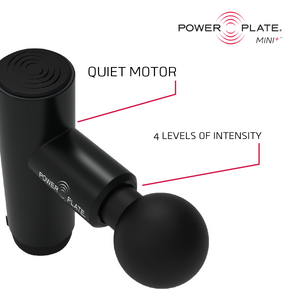 POWERPLATE MINI PLUS HANDHELD MASSAGER